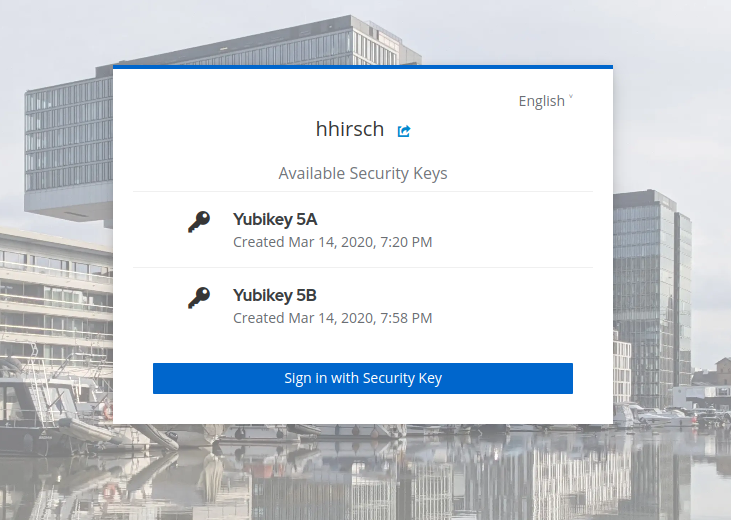 Auswahl Security Key