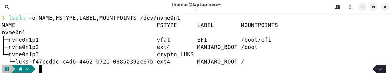 lsblk zeigt EFI auf /boot/efi, ext4 auf /boot und das crypto_LUKS Gerät mit dem Wurzeldateisystem